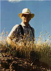 Glenn R Arrison