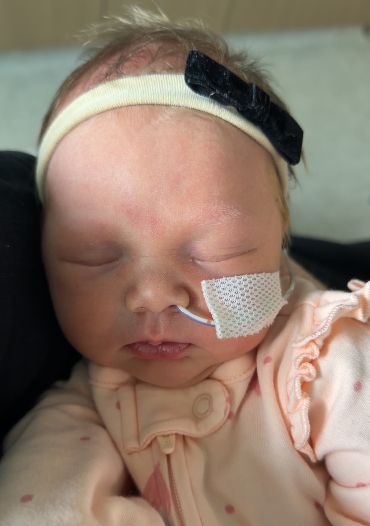 Veda Nikole Lee Bugbee